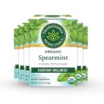 Traditional Medicinals, Organic Spearmint, Caffeine Free, 16 Wrapped Tea Bags, 0.85 oz (24 g)
